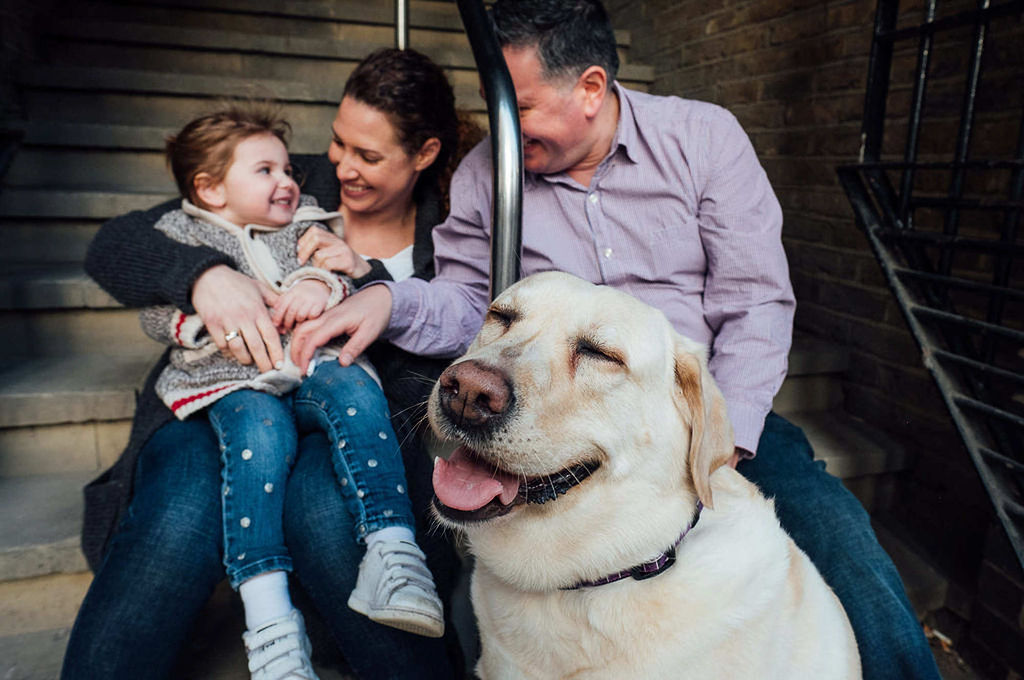 london family photographs parents and toddler with dog sitting on steps